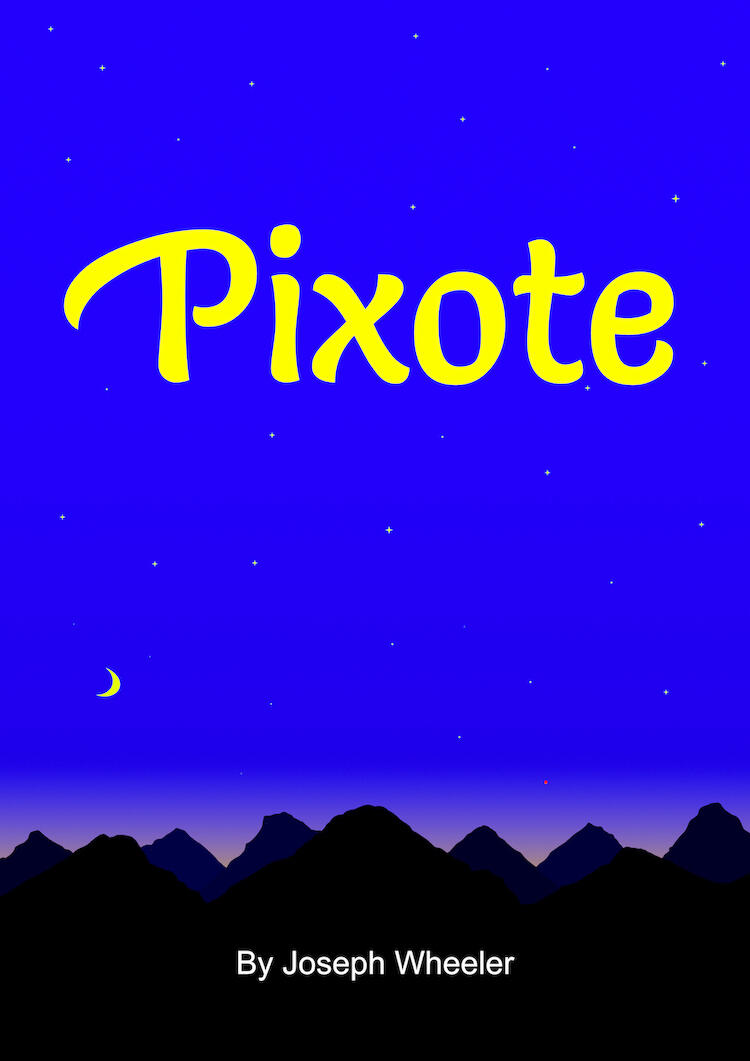 Pixote Pixote Book - A Fable About Finding Your Path In Life By Author Joseph Wheeler